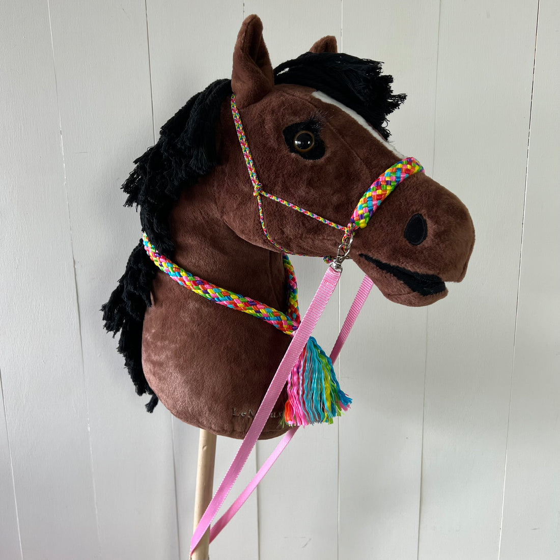 Touwsetje voor LeMieux multicolour rainbow