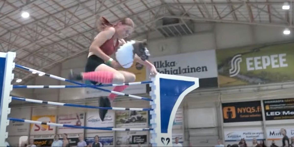 Looking back at the Finnish Hobbyhorse Championship 2023 ...