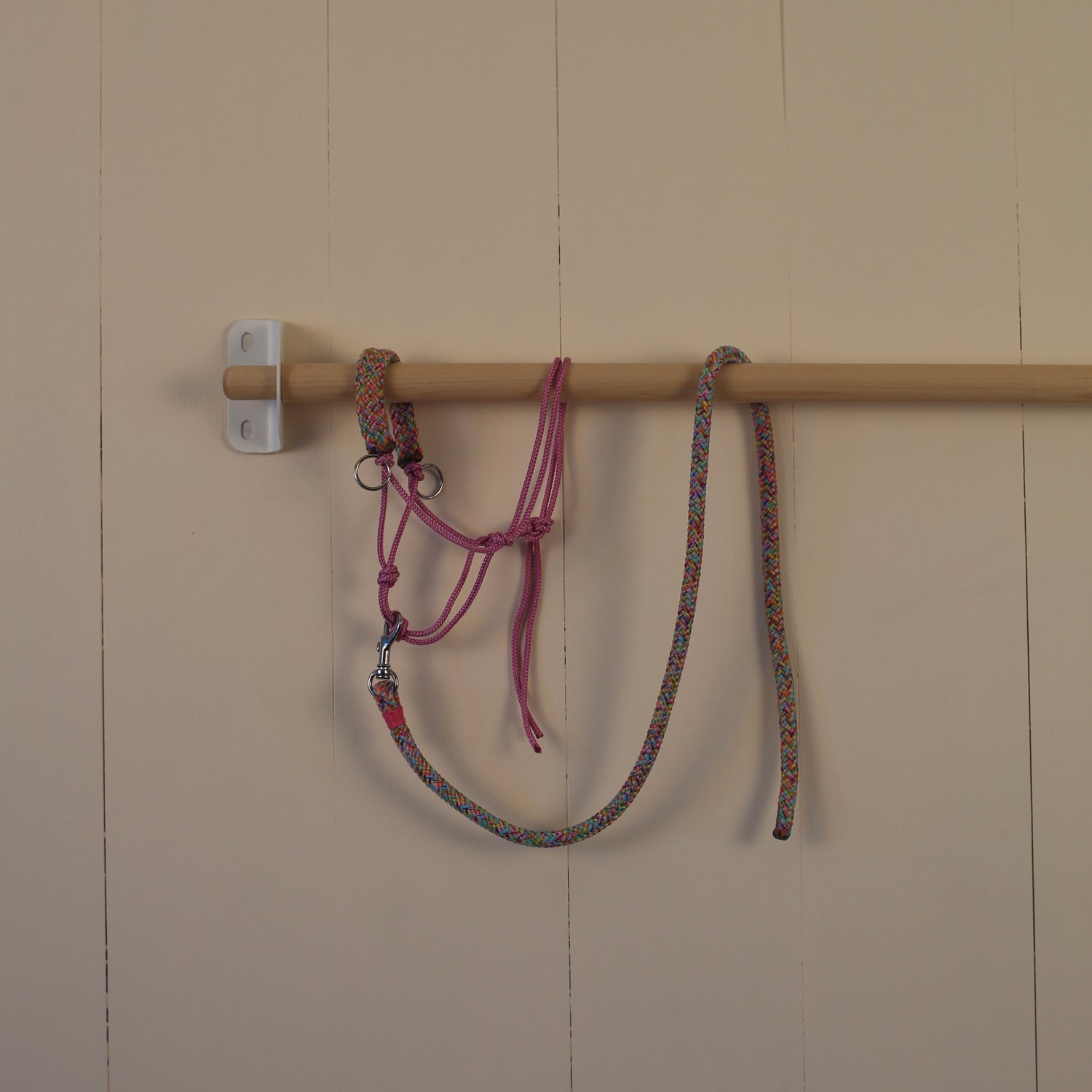 Halter with rope multi-colour pink / purple / yellow / lilac