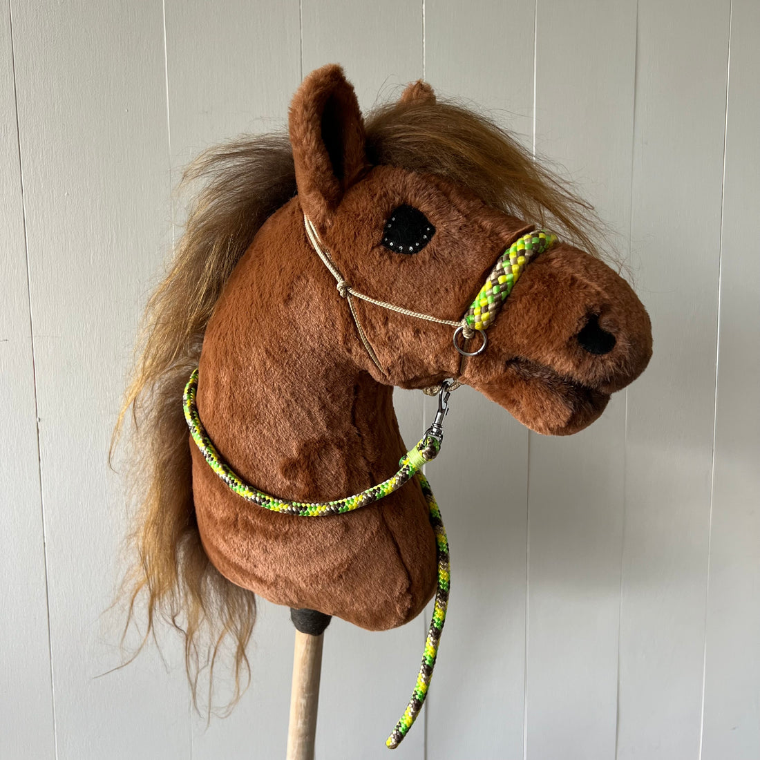 Halter with rope orange / blue / white