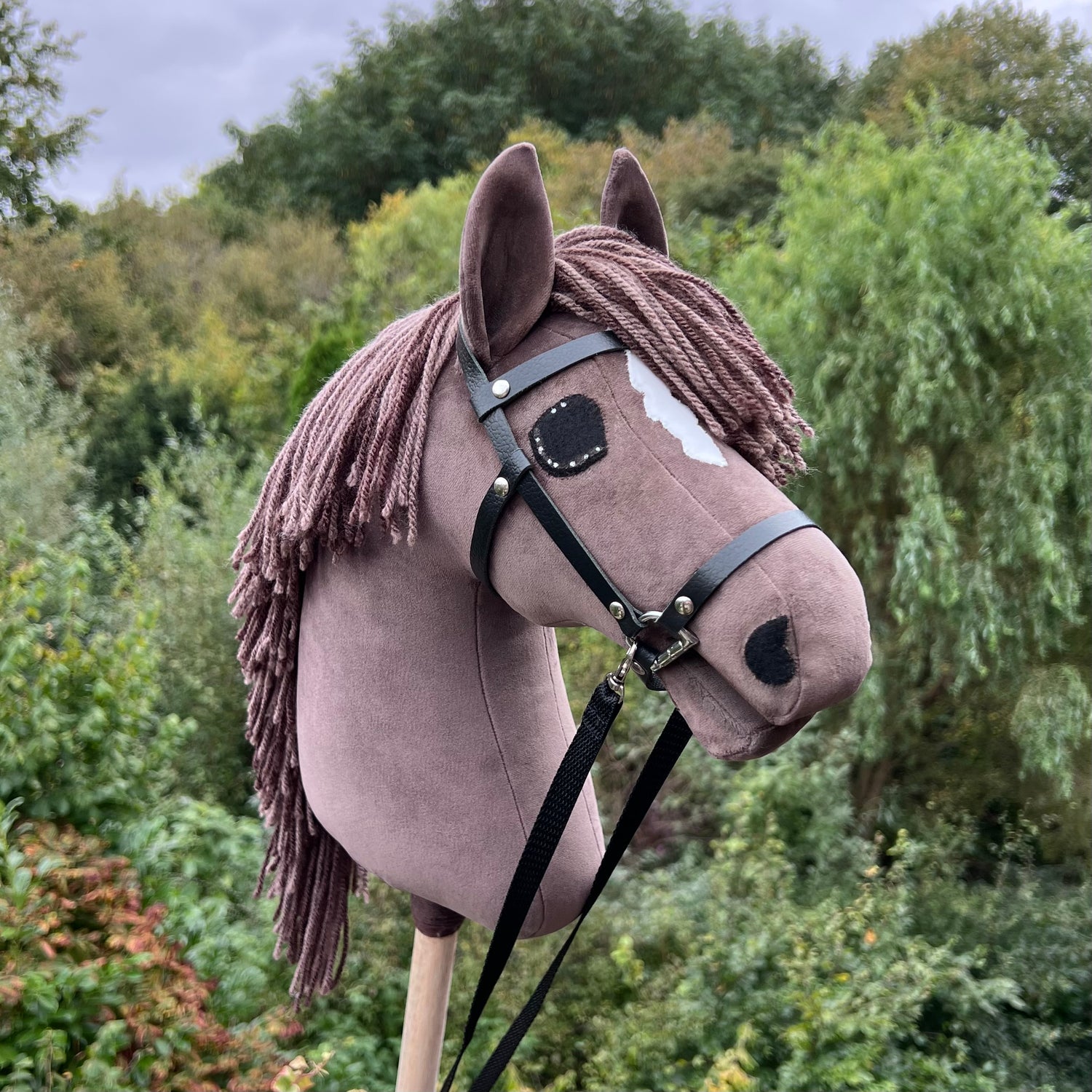 Hobbyhorse bruin met bles en appeltjes