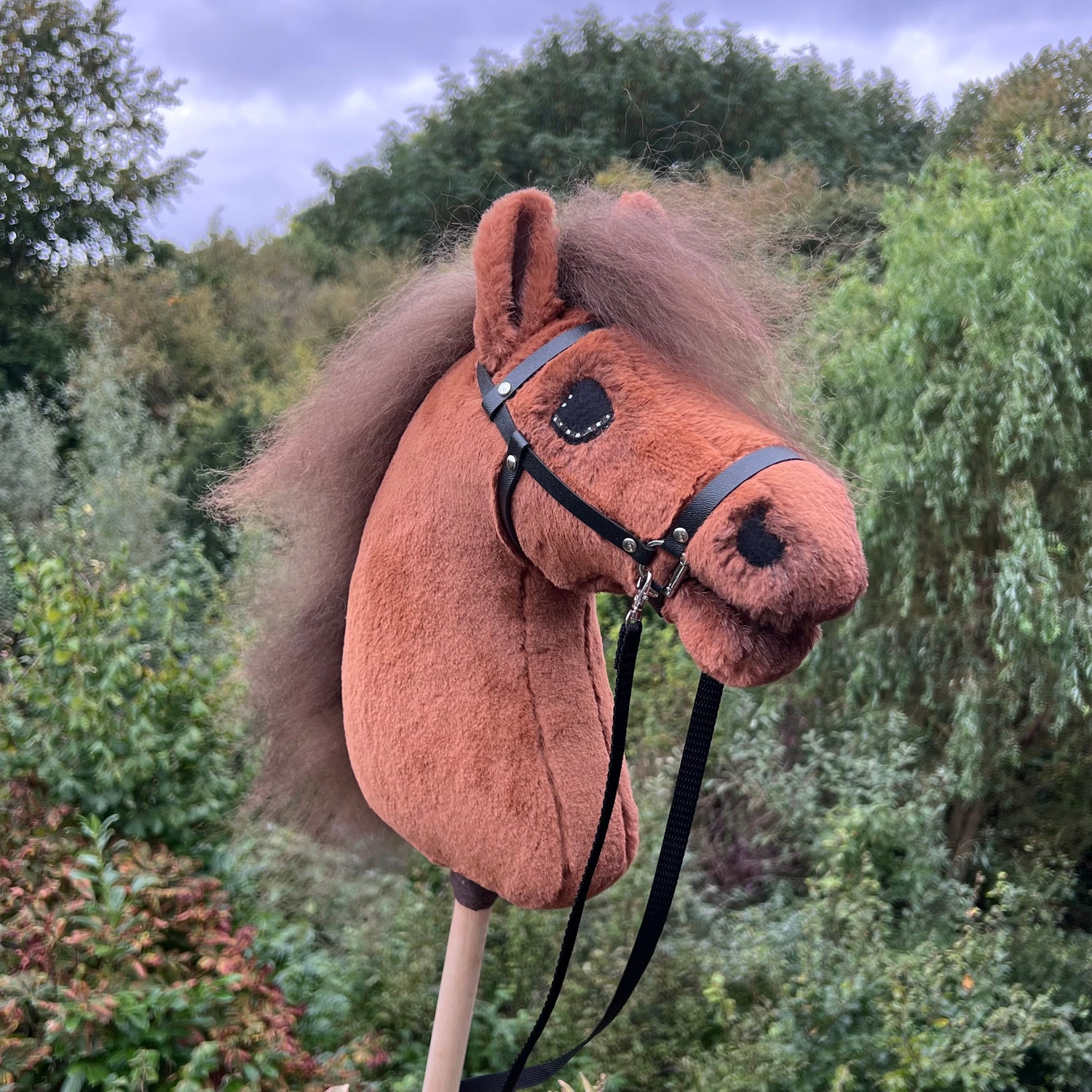 Hobbyhorse voskleur fluffy, bruine manen